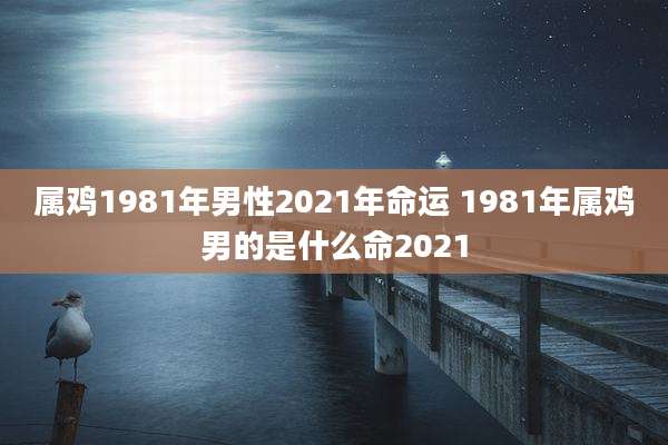 属鸡1981年男性2021年命运 1981年属鸡男的是什么命2021
