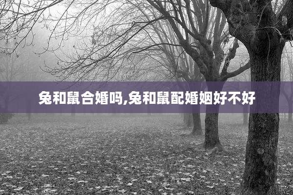 兔和鼠合婚吗,兔和鼠配婚姻好不好