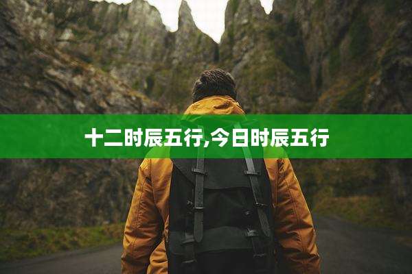 十二时辰五行,今日时辰五行