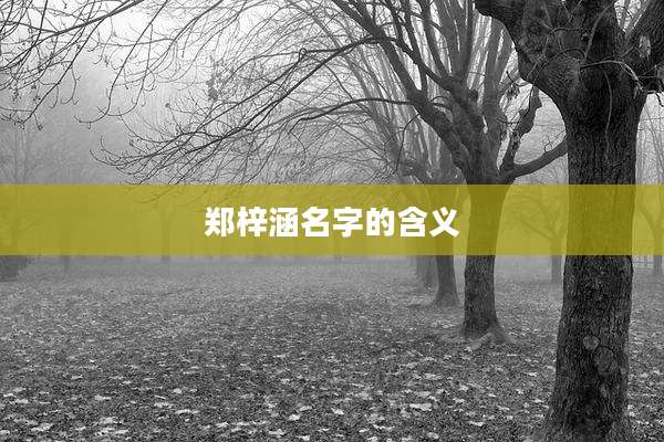 郑梓涵名字的含义
