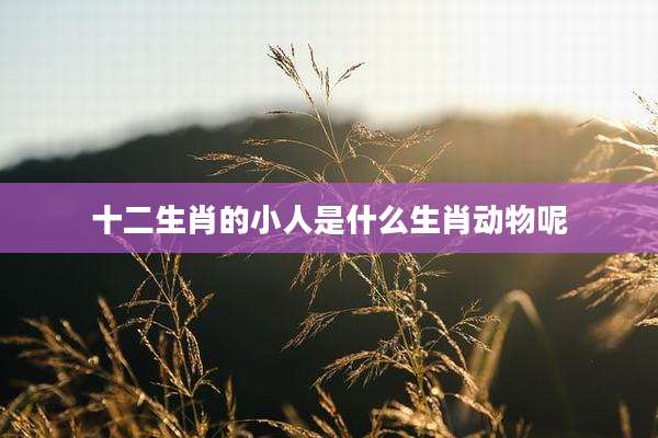 十二生肖的小人是什么生肖动物呢