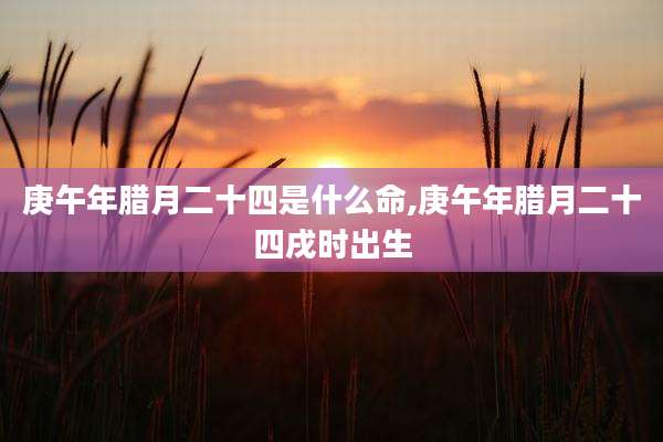 庚午年腊月二十四是什么命,庚午年腊月二十四戌时出生