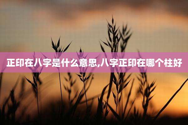 正印在八字是什么意思,八字正印在哪个柱好