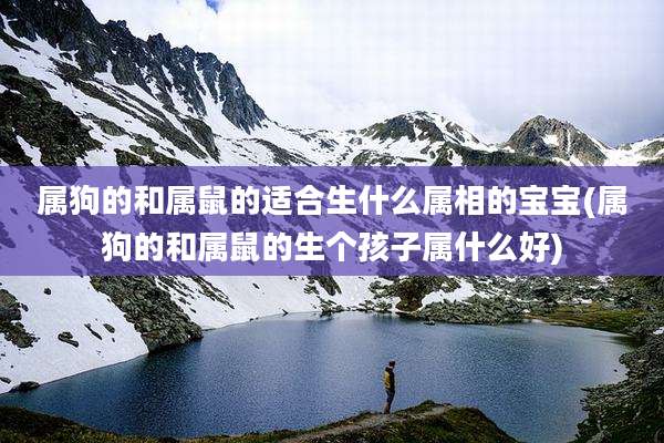 属狗的和属鼠的适合生什么属相的宝宝(属狗的和属鼠的生个孩子属什么好)