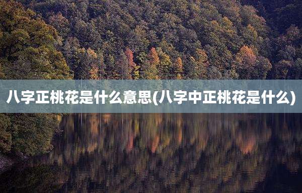 八字正桃花是什么意思(八字中正桃花是什么)