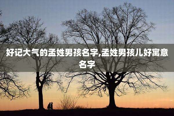 好记大气的孟姓男孩名字,孟姓男孩儿好寓意名字