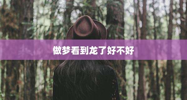 做梦看到龙了好不好