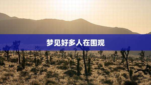 梦见好多人在围观