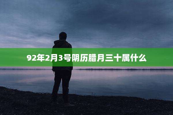 92年2月3号阴历腊月三十属什么