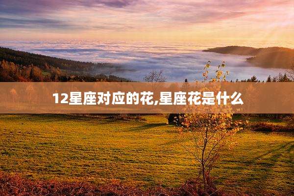 12星座对应的花,星座花是什么