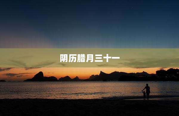阴历腊月三十一