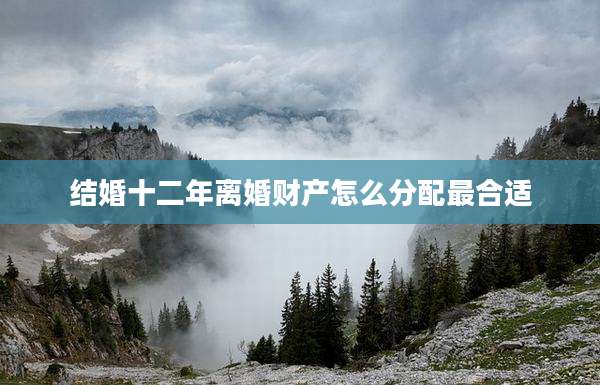 结婚十二年离婚财产怎么分配最合适