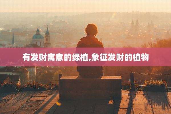 有发财寓意的绿植,象征发财的植物