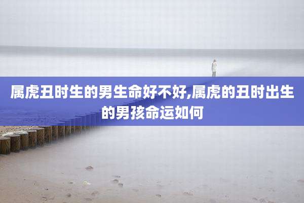 属虎丑时生的男生命好不好,属虎的丑时出生的男孩命运如何