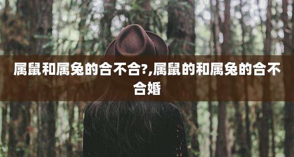 属鼠和属兔的合不合?,属鼠的和属兔的合不合婚