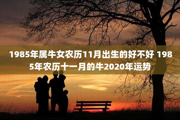 1985年属牛女农历11月出生的好不好 1985年农历十一月的牛2020年运势