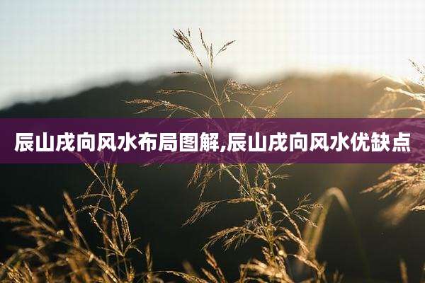 辰山戌向风水布局图解,辰山戌向风水优缺点