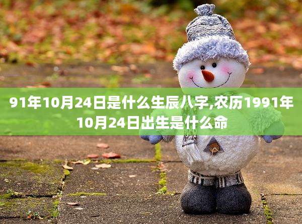 91年10月24日是什么生辰八字,农历1991年10月24日出生是什么命