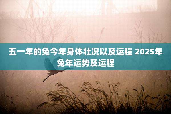 五一年的兔今年身体壮况以及运程 2025年兔年运势及运程