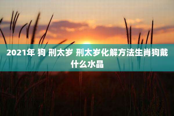2021年 狗 刑太岁 刑太岁化解方法生肖狗戴什么水晶