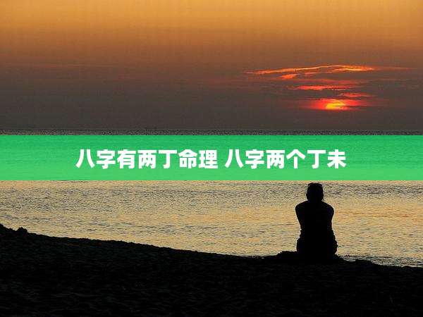 八字有两丁命理 八字两个丁未