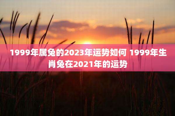 1999年属兔的2023年运势如何 1999年生肖兔在2021年的运势