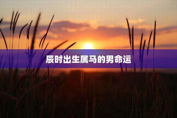 辰时出生属马的男命运