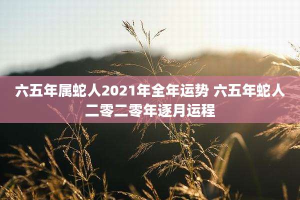 六五年属蛇人2021年全年运势 六五年蛇人二零二零年逐月运程