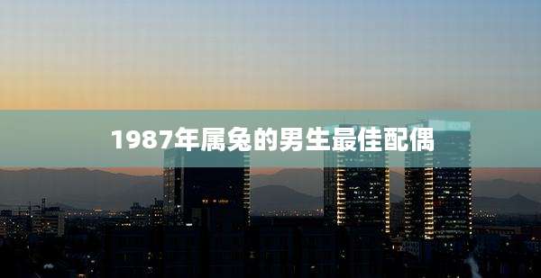 1987年属兔的男生最佳配偶