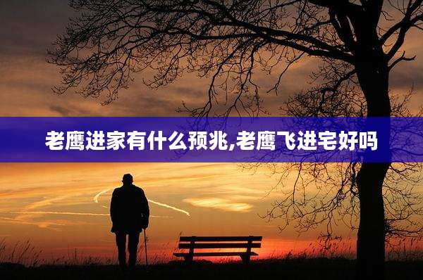 老鹰进家有什么预兆,老鹰飞进宅好吗