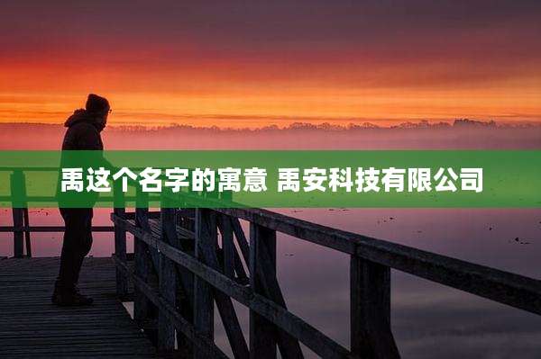 禹这个名字的寓意 禹安科技有限公司
