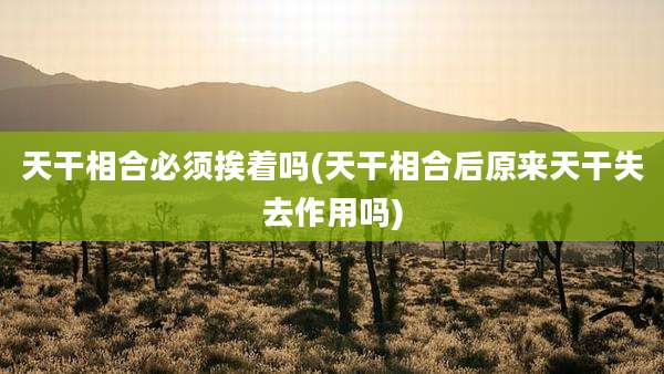 天干相合必须挨着吗(天干相合后原来天干失去作用吗)