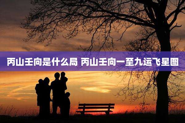 丙山壬向是什么局 丙山壬向一至九运飞星图
