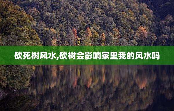 砍死树风水,砍树会影响家里我的风水吗