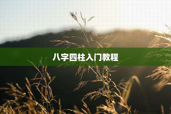 八字四柱入门教程