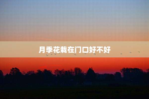 月季花栽在门口好不好