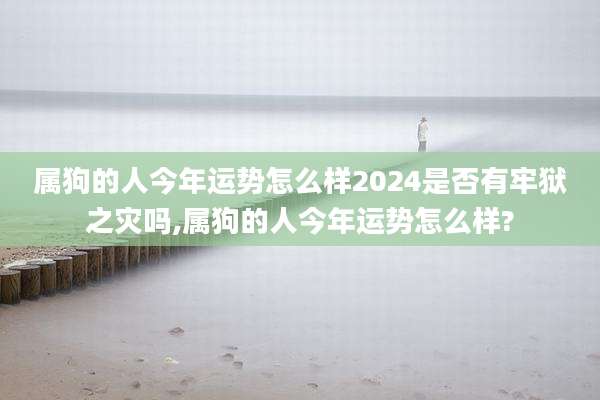 属狗的人今年运势怎么样2024是否有牢狱之灾吗,属狗的人今年运势怎么样?