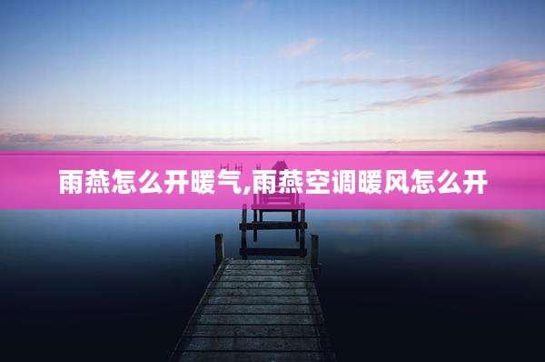 雨燕怎么开暖气,雨燕空调暖风怎么开