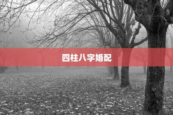 四柱八字婚配