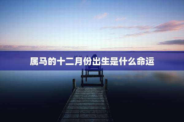 属马的十二月份出生是什么命运