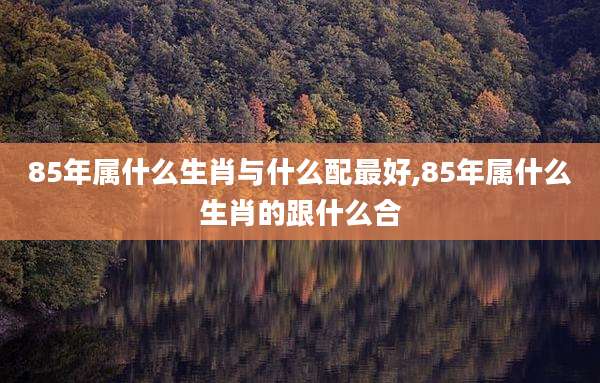 85年属什么生肖与什么配最好,85年属什么生肖的跟什么合