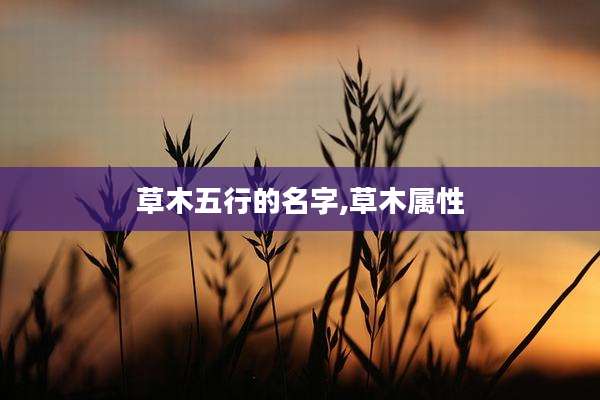 草木五行的名字,草木属性