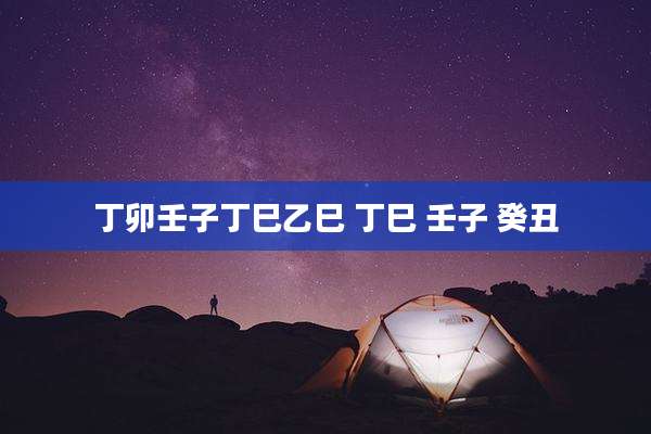 丁卯壬子丁巳乙巳 丁巳 壬子 癸丑