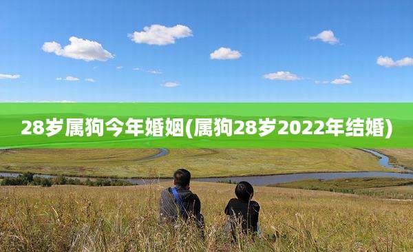 28岁属狗今年婚姻(属狗28岁2022年结婚)