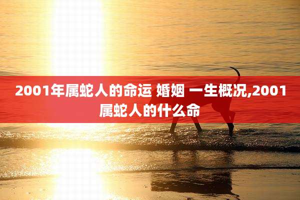 2001年属蛇人的命运 婚姻 一生概况,2001属蛇人的什么命