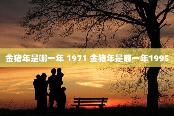 金猪年是哪一年 1971 金猪年是哪一年1995