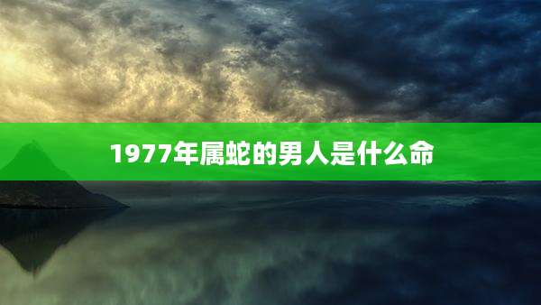 1977年属蛇的男人是什么命
