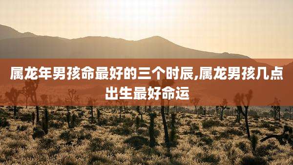 属龙年男孩命最好的三个时辰,属龙男孩几点出生最好命运