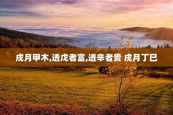 戌月甲木,透戊者富,透辛者贵 戌月丁巳