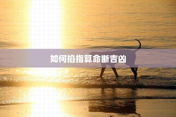 如何掐指算命断吉凶